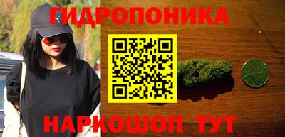 трава Балахна