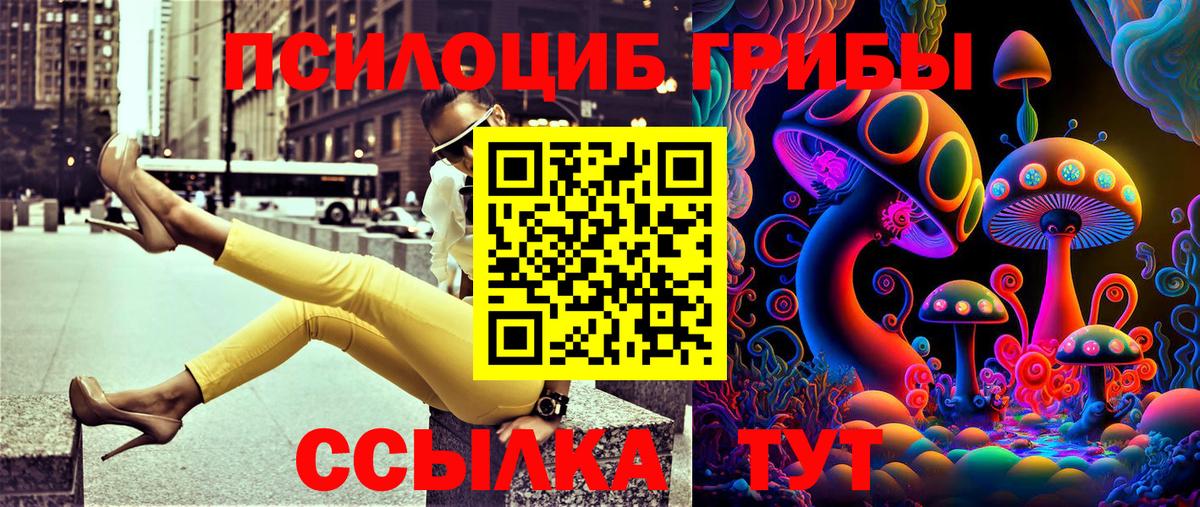 Псилоцибиновые грибы Cubensis  Вход с VPN  Вязники 