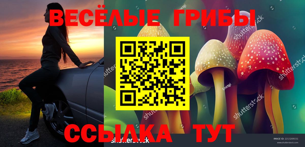 Галлюциногенные грибы мицелий Вязники
