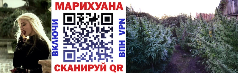 купить наркотики цена  Вязники  Шишки марихуана Amnesia 
